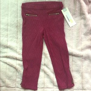 Knit pants